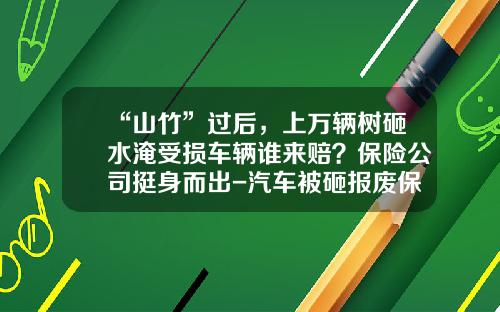 “山竹”过后，上万辆树砸水淹受损车辆谁来赔？保险公司挺身而出-汽车被砸报废保险公司陪多少钱