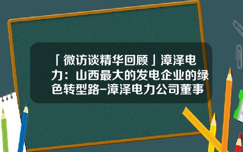 「微访谈精华回顾」漳泽电力：山西最大的发电企业的绿色转型路-漳泽电力公司董事长文