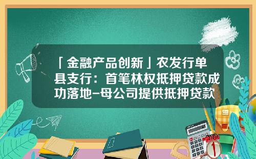 「金融产品创新」农发行单县支行：首笔林权抵押贷款成功落地-母公司提供抵押贷款