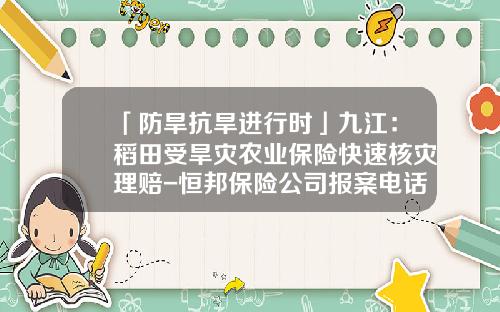 「防旱抗旱进行时」九江：稻田受旱灾农业保险快速核灾理赔-恒邦保险公司报案电话