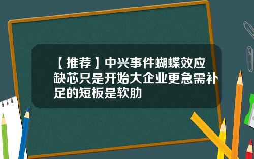 【推荐】中兴事件蝴蝶效应缺芯只是开始大企业更急需补足的短板是软肋