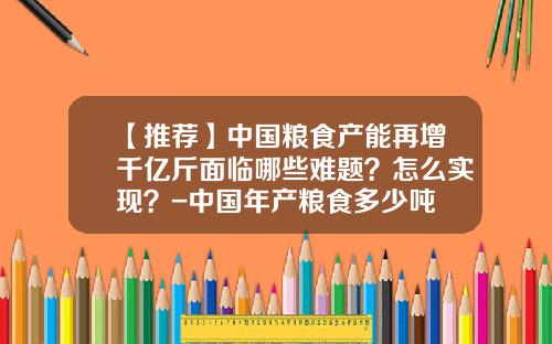 【推荐】中国粮食产能再增千亿斤面临哪些难题？怎么实现？-中国年产粮食多少吨