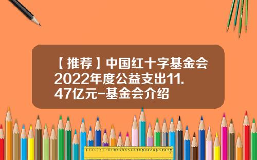 【推荐】中国红十字基金会2022年度公益支出11.47亿元-基金会介绍
