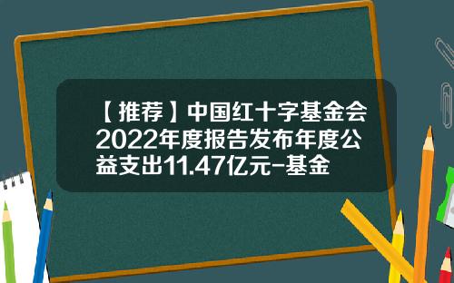 【推荐】中国红十字基金会2022年度报告发布年度公益支出11.47亿元-基金会年报
