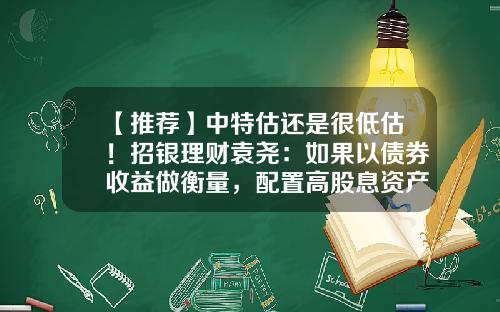 【推荐】中特估还是很低估！招银理财袁尧：如果以债券收益做衡量，配置高股息资产的回报会远远超过……-债券基金回报
