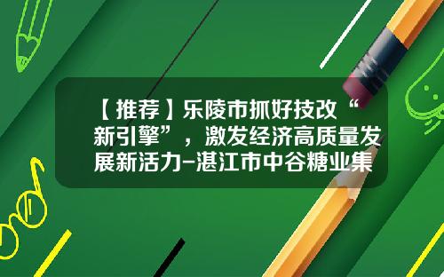 【推荐】乐陵市抓好技改“新引擎”，激发经济高质量发展新活力-湛江市中谷糖业集团有限公司
