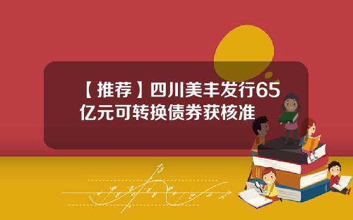 【推荐】四川美丰发行65亿元可转换债券获核准