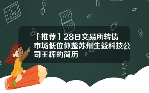 【推荐】28日交易所转债市场低位休整苏州生益科技公司王辉的简历