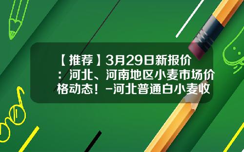 【推荐】3月29日新报价：河北、河南地区小麦市场价格动态！-河北普通白小麦收粮多少钱
