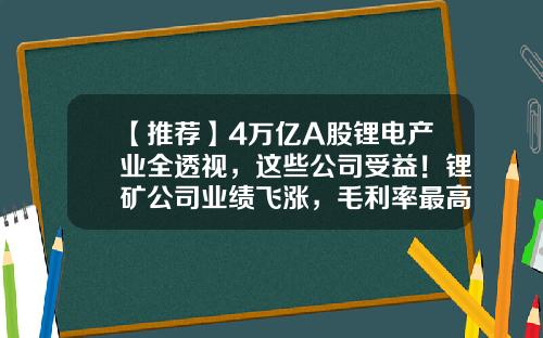 【推荐】4万亿A股锂电产业全透视，这些公司受益！锂矿公司业绩飞涨，毛利率最高超90%，“宁王”毛利率下滑-哪个股票资讯最快好赚的