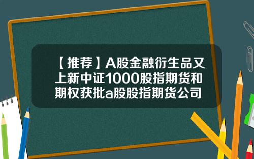 【推荐】A股金融衍生品又上新中证1000股指期货和期权获批a股股指期货公司