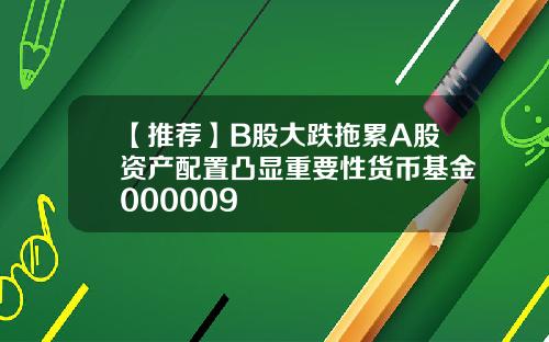 【推荐】B股大跌拖累A股资产配置凸显重要性货币基金000009