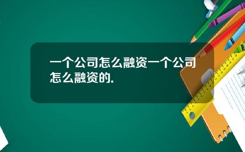一个公司怎么融资一个公司怎么融资的.