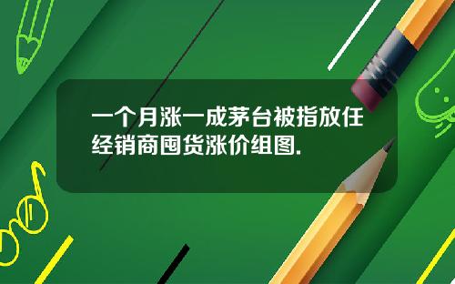 一个月涨一成茅台被指放任经销商囤货涨价组图.