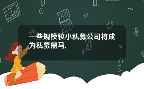 一些规模较小私募公司将成为私募黑马.