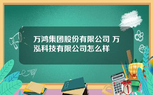 万鸿集团股份有限公司 万泓科技有限公司怎么样