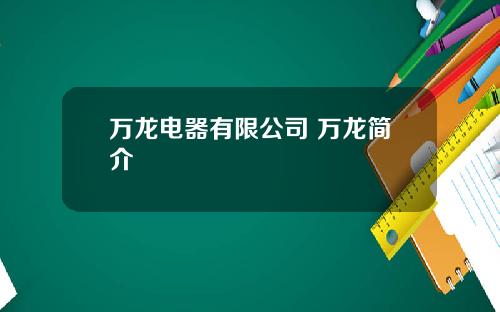 万龙电器有限公司 万龙简介
