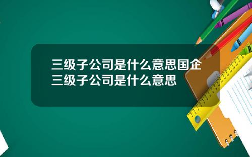 三级子公司是什么意思国企三级子公司是什么意思