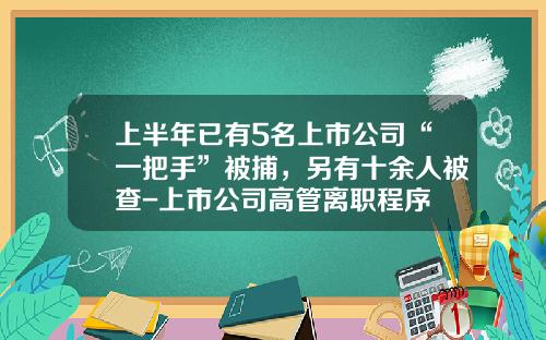 上半年已有5名上市公司“一把手”被捕，另有十余人被查-上市公司高管离职程序