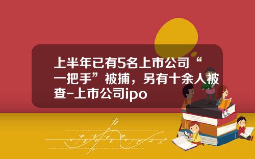 上半年已有5名上市公司“一把手”被捕,另有十余人被查-上市公司ipo