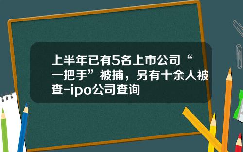 上半年已有5名上市公司“一把手”被捕,另有十余人被查-ipo公司查询