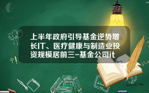 上半年政府引导基金逆势增长IT、医疗健康与制造业投资规模居前三-基金公司it系统