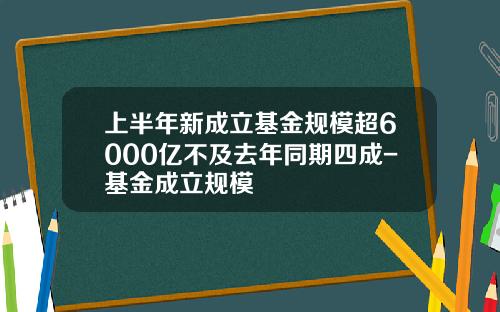 上半年新成立基金规模超6000亿不及去年同期四成-基金成立规模