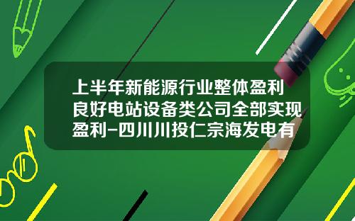 上半年新能源行业整体盈利良好电站设备类公司全部实现盈利-四川川投仁宗海发电有限责任公司