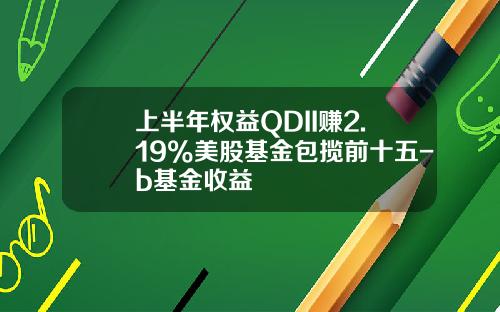 上半年权益QDII赚2.19%美股基金包揽前十五-b基金收益