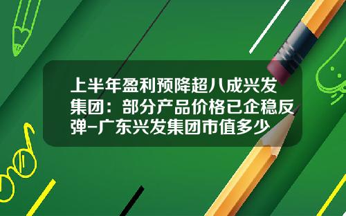 上半年盈利预降超八成兴发集团:部分产品价格已企稳反弹-广东兴发集团市值多少