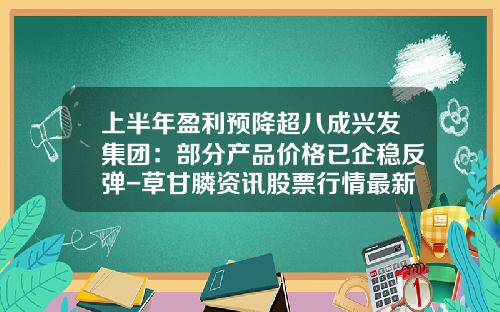 上半年盈利预降超八成兴发集团：部分产品价格已企稳反弹-草甘膦资讯股票行情最新