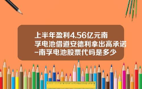 上半年盈利4.56亿元南孚电池借道安德利拿出高承诺-南孚电池股票代码是多少