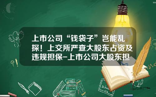 上市公司“钱袋子”岂能乱探！上交所严查大股东占资及违规担保-上市公司大股东担保