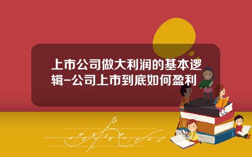 上市公司做大利润的基本逻辑-公司上市到底如何盈利