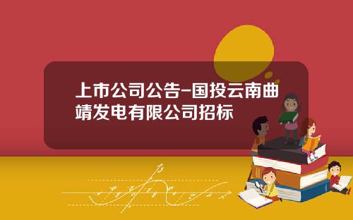 上市公司公告-国投云南曲靖发电有限公司招标