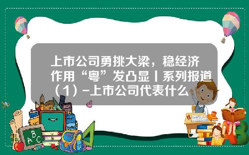 上市公司勇挑大梁，稳经济作用“粤”发凸显丨系列报道（1）-上市公司代表什么