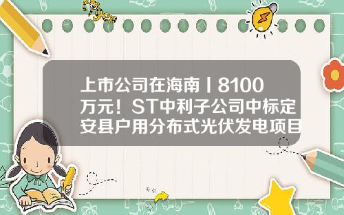 上市公司在海南丨8100万元！ST中利子公司中标定安县户用分布式光伏发电项目-江苏中利腾晖光伏科技有限公司