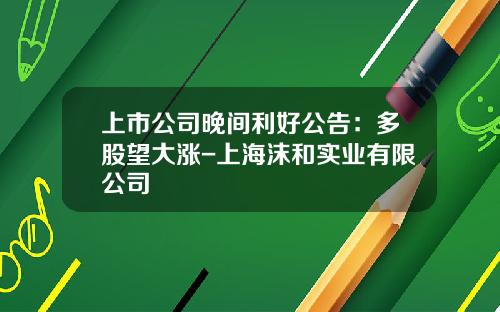 上市公司晚间利好公告：多股望大涨-上海沫和实业有限公司