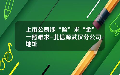 上市公司涉“险”求“金”一照难求-北信源武汉分公司地址