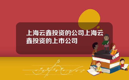 上海云鑫投资的公司上海云鑫投资的上市公司