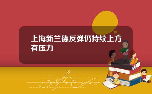 上海新兰德反弹仍持续上方有压力