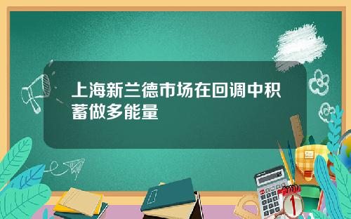 上海新兰德市场在回调中积蓄做多能量