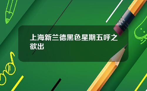 上海新兰德黑色星期五呼之欲出