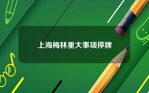 上海梅林重大事项停牌