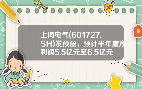 上海电气(601727.SH)发预盈，预计半年度净利润5.5亿元至6.5亿元，同比扭亏为盈-上海电气发行价多少