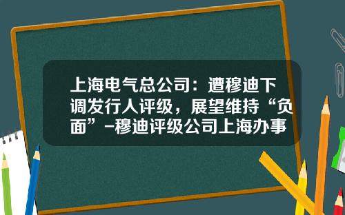 上海电气总公司:遭穆迪下调发行人评级,展望维持“负面”-穆迪评级公司上海办事处