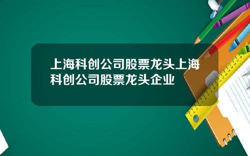 上海科创公司股票龙头上海科创公司股票龙头企业