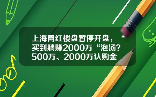 上海网红楼盘暂停开盘，“买到躺赚2000万“泡汤？500万、2000万认购金开始退款-上海假结婚买房多少钱