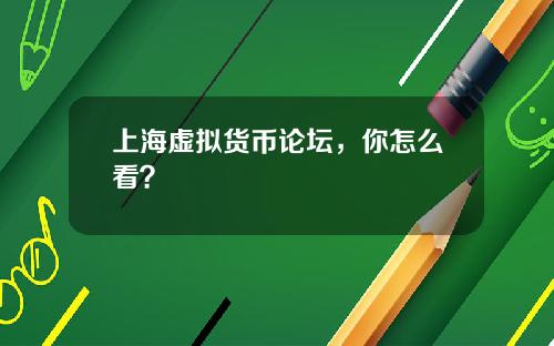上海虚拟货币论坛，你怎么看？