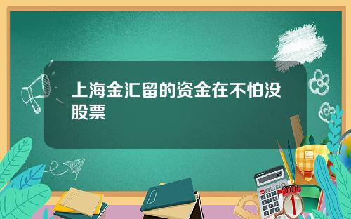 上海金汇留的资金在不怕没股票